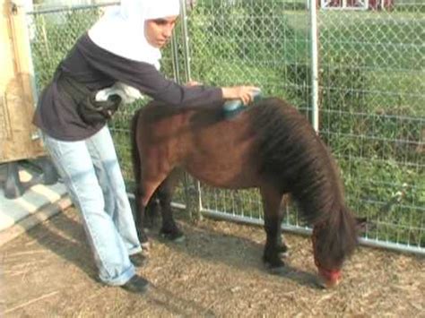 mujer folla con pony